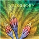 Aurobora - Aurobora